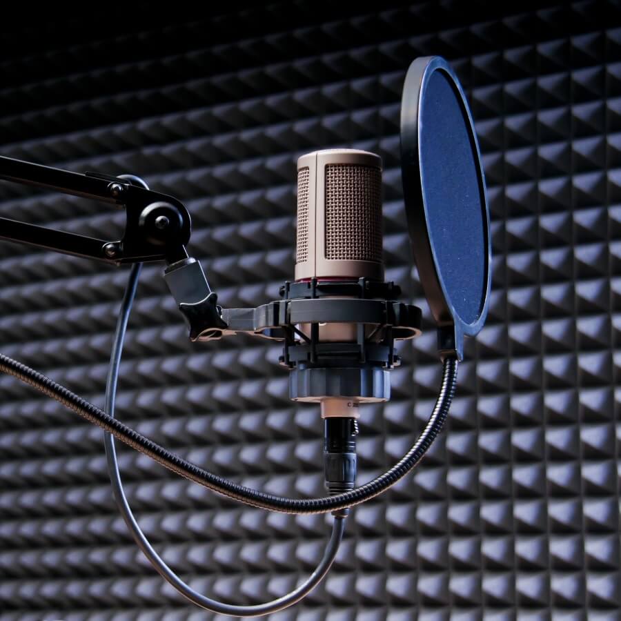 VO Home Studio Coaching: Taking Your Home Studio Pro with Uncle Roy  Yokelson | Global Voice Acting Academy | Voice Over Coaching & Classes